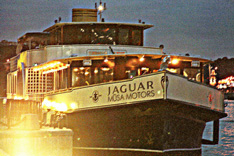 ������ ����� �� Jaguar