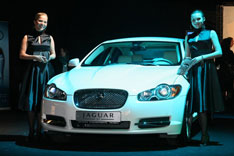 Jaguar ��������� ����� ���� ���� CHAPURIN