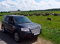 Land Rover Freelander 2: ���������� ��������� � ������� ������