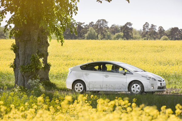 Начались продажи нового Prius