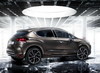 Citroen DS4: ����������� �������  