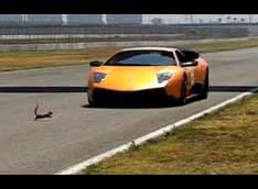 ����� vs. Lamborghini