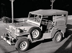 � ���� ��������, Land Cruiser