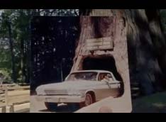 Chevrolet ����������� ������� � ���������