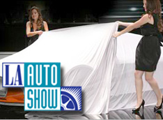LAAS-2011: ���� ���� � ���-���������