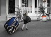 Soleil City Car: ����� � ������ � �����