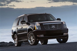 VIP-Cadillac представили сливкам общества