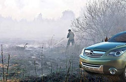 Машинам запретили въезд в подмосковный лес