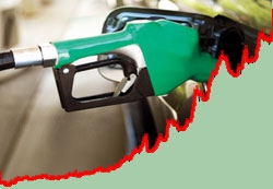 В России выросли цены на бензин