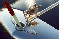 Москвичка изуродовала Bentley пилкой для ногтей