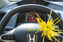 Самым экологически чистым авто стала Honda