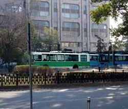 Троллейбусы заблокировали Тверской бульвар