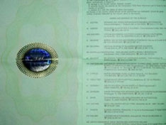 Российским водителям выдадут 