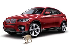 BMW разработал систему против собак
