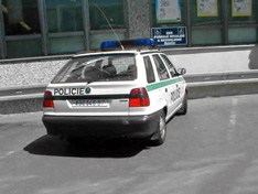 Стражи порядка в Чехии выбирают Skoda
