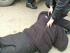 Задержан очередной поджигатель 