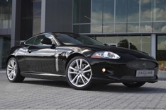 Jaguar радуется успеху