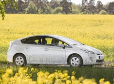 Начались продажи нового Prius

