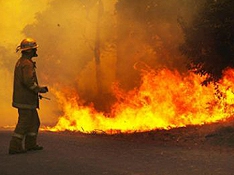 Hyundai-Kia помогает пострадавшим от пожаров