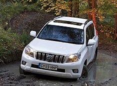 Toyota может спасти Химкинский лес