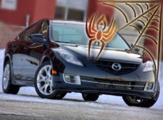 Защитники животных приютят пауков вместе с Mazda 6