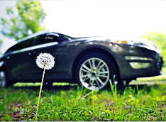 Ford превратит русские одуванчики в свои авто