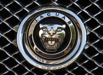 Jaguar поделился информацией о седане XE