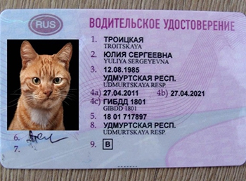 В России скорректирована процедура возврата водительских удостоверений