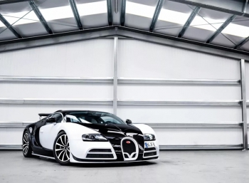 Bugatti Veyron Vivere от Mansory ориентировался на панду